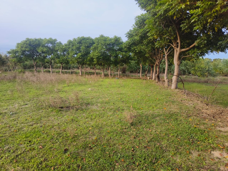  Residential Plot 7900 Sq.ft. for Sale in Thalatheru, Karaikal, Pondicherry