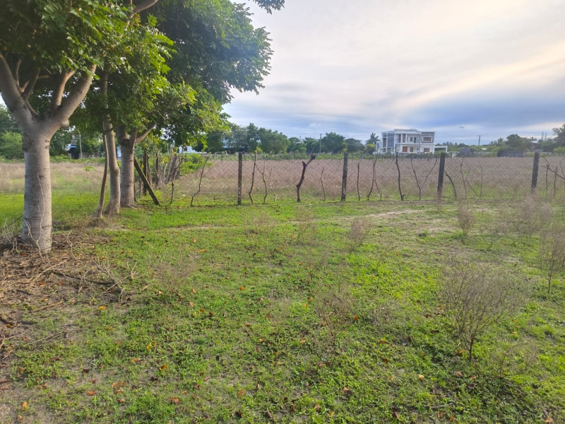 Residential Plot 7900 Sq.ft. for Sale in Thalatheru, Karaikal, Pondicherry