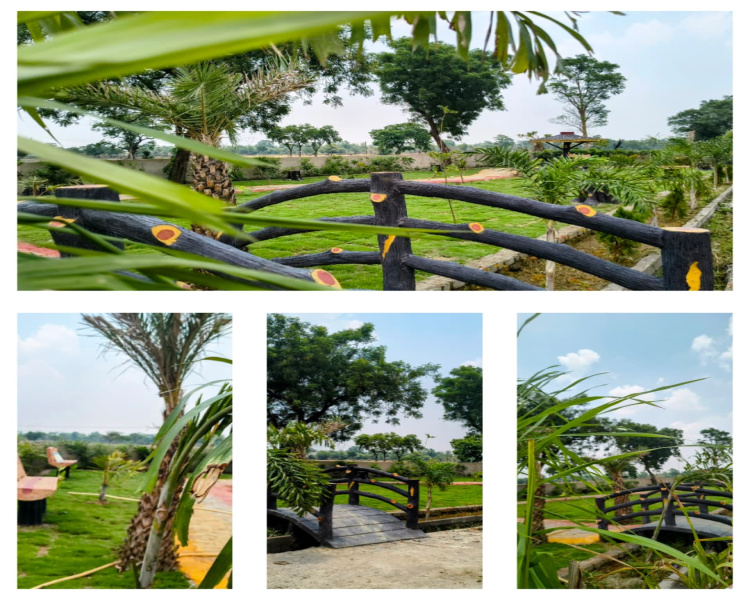 Residential Plot 1250 Sq.ft. for Sale in Koni, Bilaspur