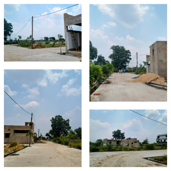  Residential Plot 1250 Sq.ft. for Sale in Koni, Bilaspur