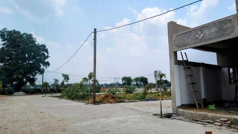  Residential Plot 1250 Sq.ft. for Sale in Koni, Bilaspur