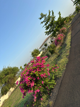  Agricultural Land for Sale in Kondhali, Nagpur