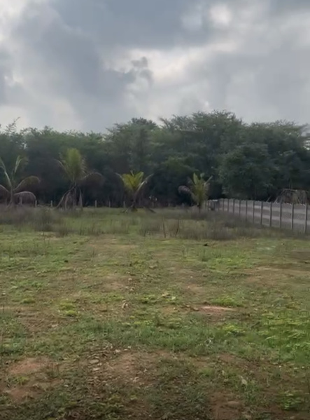  Residential Plot 20 Guntha for Sale in Sondekoppa, Bangalore