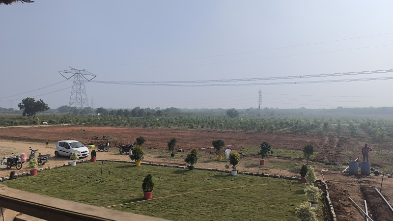  Agricultural Land 25 Cent for Sale in Narasaraopet, Guntur