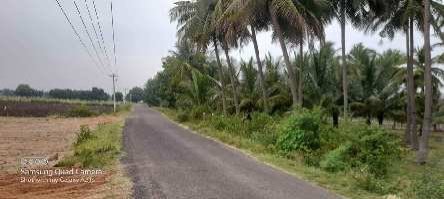  Agricultural Land 75 Cent for Sale in Ravulapalem, East Godavari