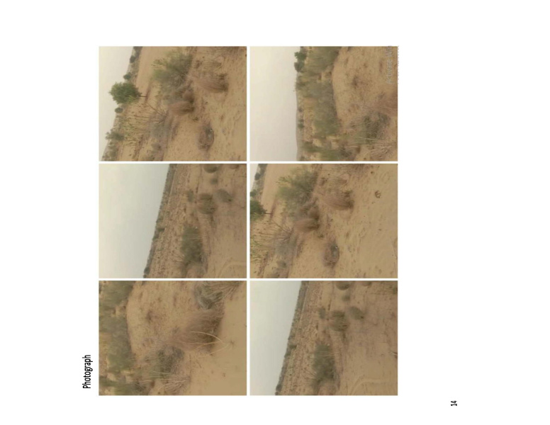  Agricultural Land 19 Bigha for Sale in Pokhran, Jaisalmer