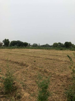  Agricultural Land for Sale in Tigaon, Faridabad