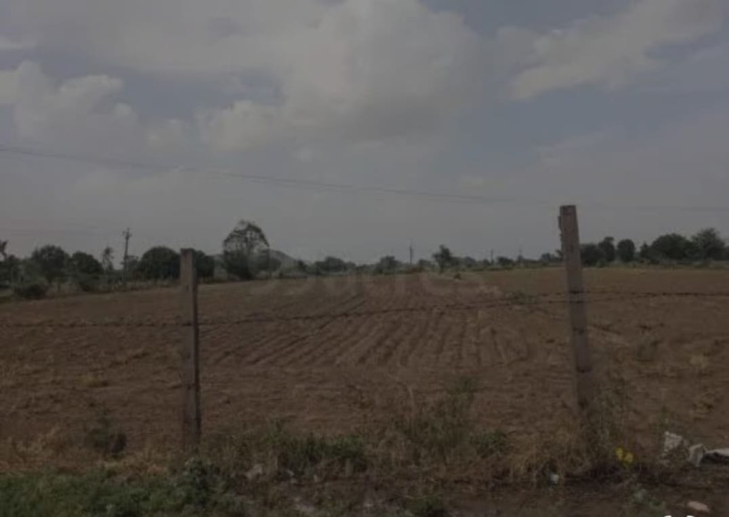  Residential Plot 1 Bigha for Sale in Naugaon, Alwar