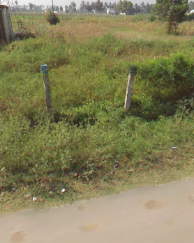  Commercial Land for Sale in Thirukanurpatti, Thanjavur