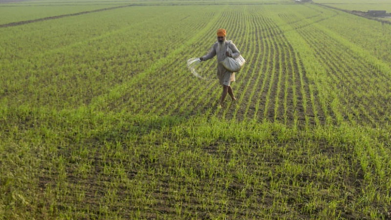  Residential Plot 4 Bigha for Sale in Naugaon, Alwar