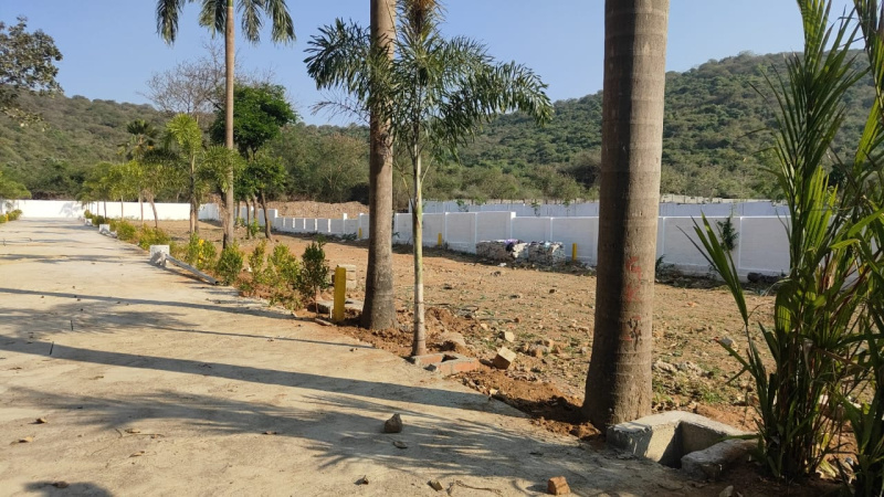  Residential Plot 1112 Sq.ft. for Sale in Vandular, Chennai