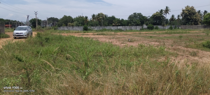  2500 Sq.ft. Residential Plot for Sale in Medical College Road, Thanjavur