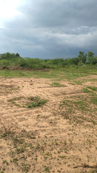  2588 Sq.ft. Residential Plot for Sale in Medical College Road, Thanjavur