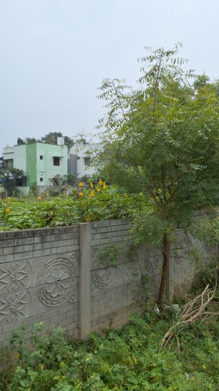  12000 Sq.ft. Residential Plot for Sale in Medical College Road, Thanjavur