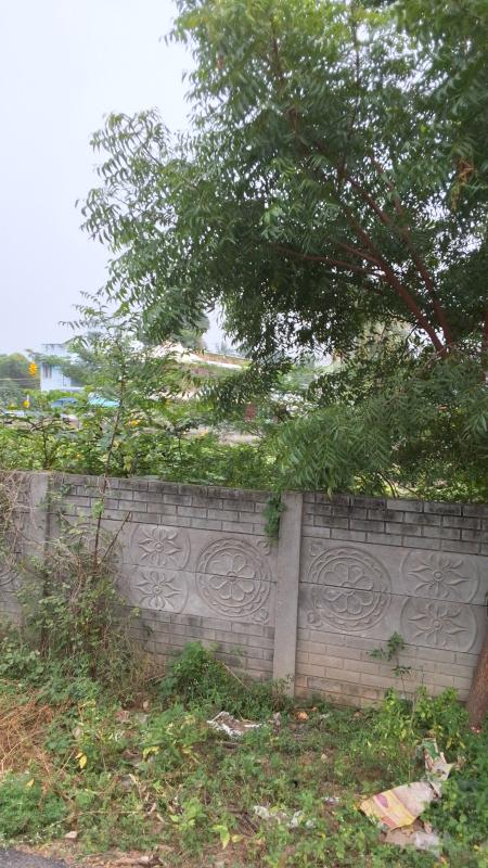  12000 Sq.ft. Residential Plot for Sale in Medical College Road, Thanjavur