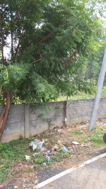  12000 Sq.ft. Residential Plot for Sale in Medical College Road, Thanjavur