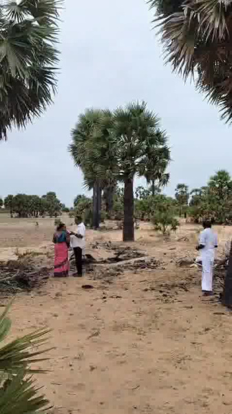  Agricultural Land 650 Cent for Sale in Sayalgudi, Ramanathapuram