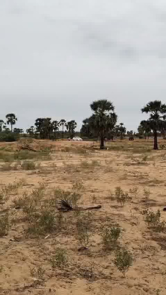  Agricultural Land 650 Cent for Sale in Sayalgudi, Ramanathapuram