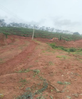 1 BHK Farm House for Sale in Belthangady, Mangalore