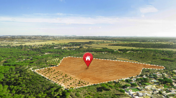  Residential Plot for Sale in Sector 4 Gurgaon