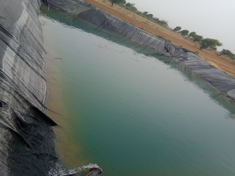  Agricultural Land 12 Bigha for Sale in Degana, Nagaur