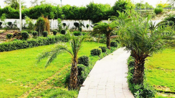  Residential Plot for Sale in Yamuna Expressway, Greater Noida