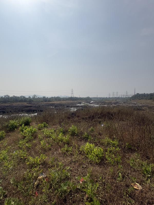  3 Acre Agricultural/Farm Land for Sale in Wada, Thane