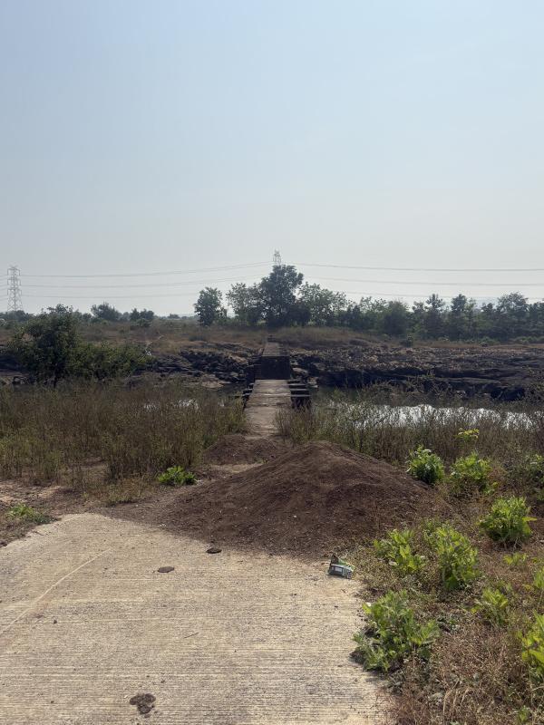  3 Acre Agricultural/Farm Land for Sale in Wada, Thane