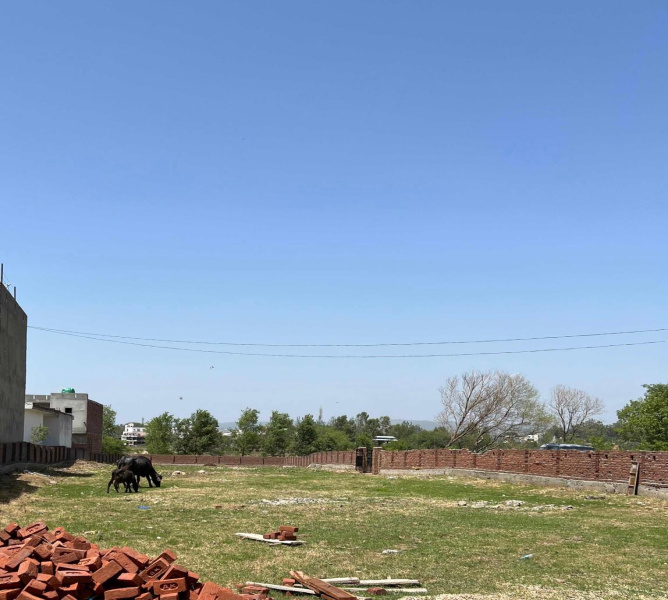  Residential Plot 50 Marla for Sale in Nagrota, Jammu
