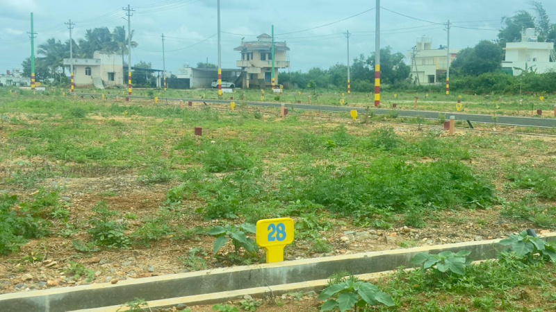  Residential Plot 1200 Sq.ft. for Sale in Bannur Road, Mysore