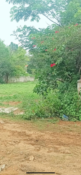  Residential Plot 66000 Sq.ft. for Sale in Lalith Mahal Road, Mysore