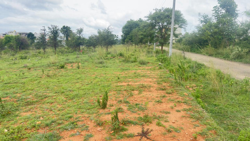  Residential Plot 1200 Sq.ft. for Sale in Siddhartha Layout, Mysore