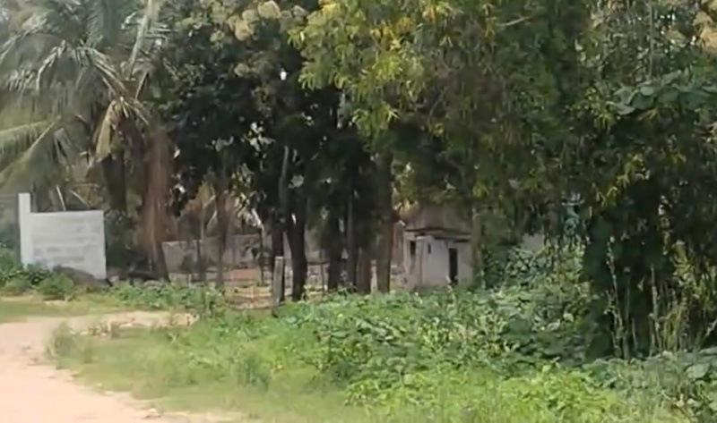  Commercial Land 2 Acre for Sale in Hebbal, Mysore