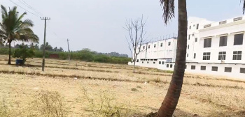  Agricultural Land for Sale in Bannur, Mysore