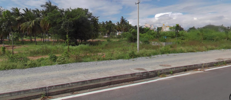  Residential Plot 1200 Sq.ft. for Sale in Ring Road, Mysore