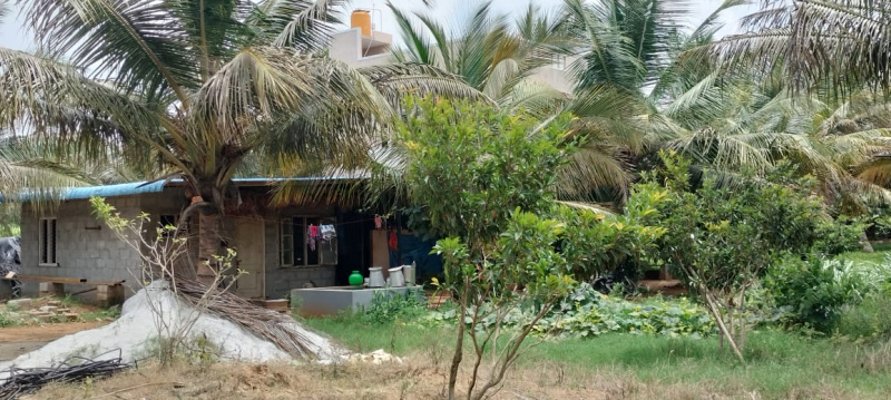  Agricultural Land 5 Acre for Sale in T Narasipura Road, Mysore