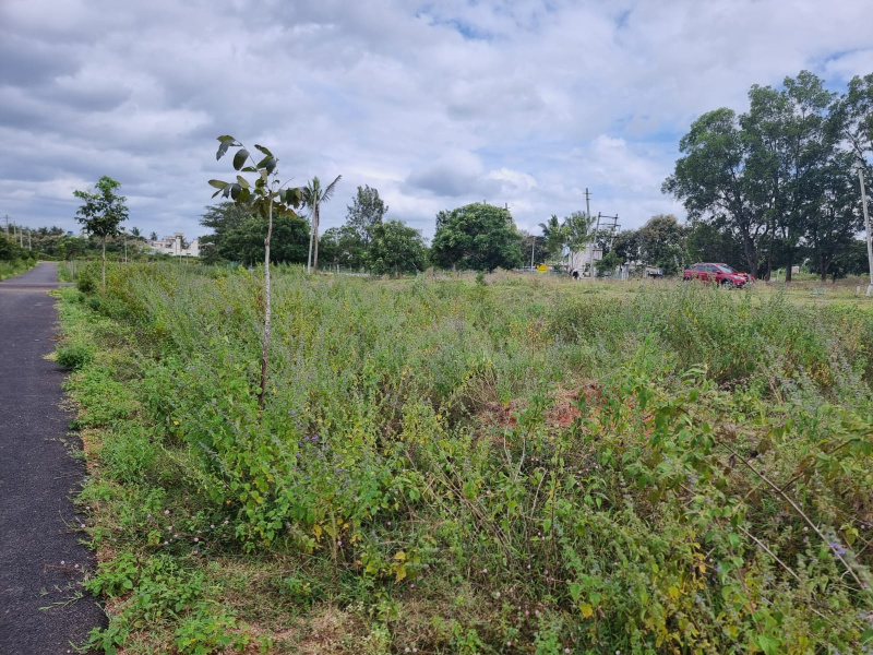  1235 Sq.ft. Residential Plot for Sale in Udbur, Mysore