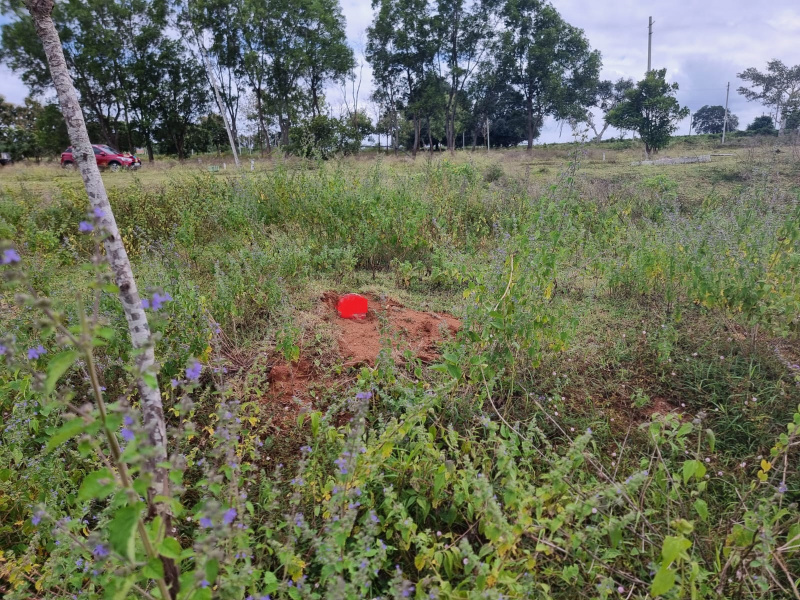  1235 Sq.ft. Residential Plot for Sale in Udbur, Mysore