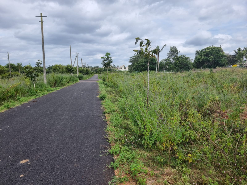  1235 Sq.ft. Residential Plot for Sale in Udbur, Mysore