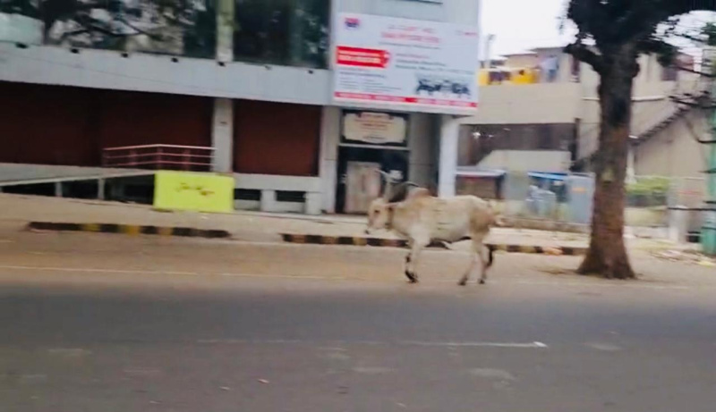  15627 Sq.ft. Office Space for Sale in Lakshmipuram, Mysore