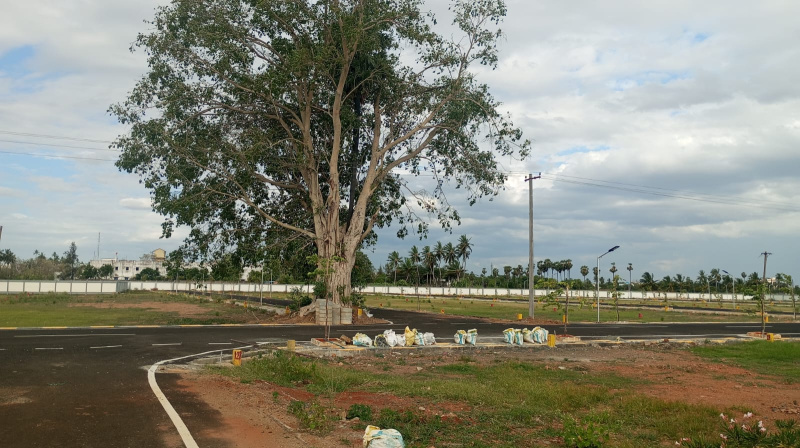  Residential Plot 1200 Sq.ft. for Sale in Manikandam, Tiruchirappalli
