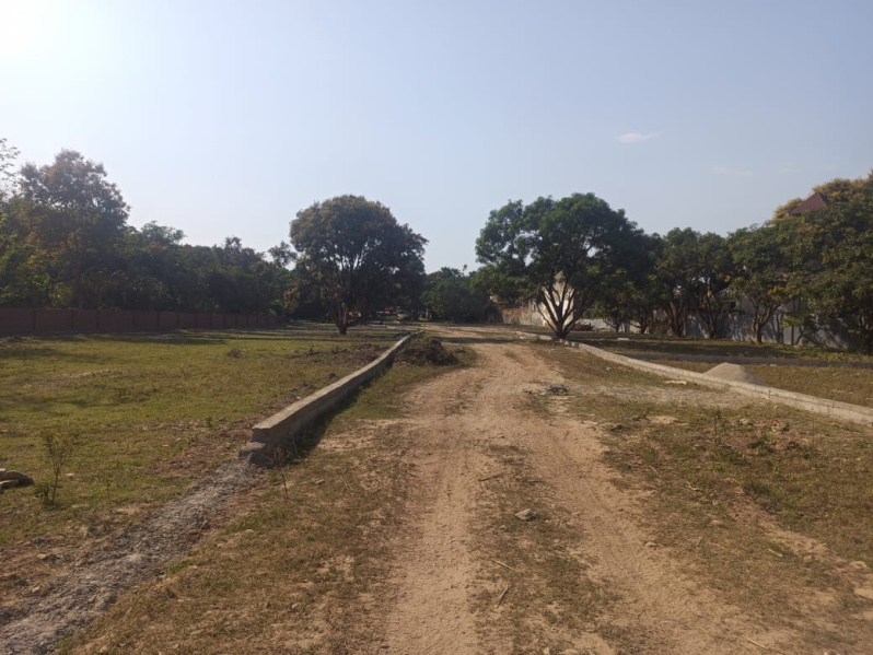  Residential Plot 3000 Sq.ft. for Sale in Dharmawala, Vikas Nagar, Dehradun