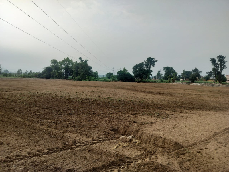  Residential Plot 300 Sq. Yards for Sale in Dharmawala, Vikas Nagar, Dehradun