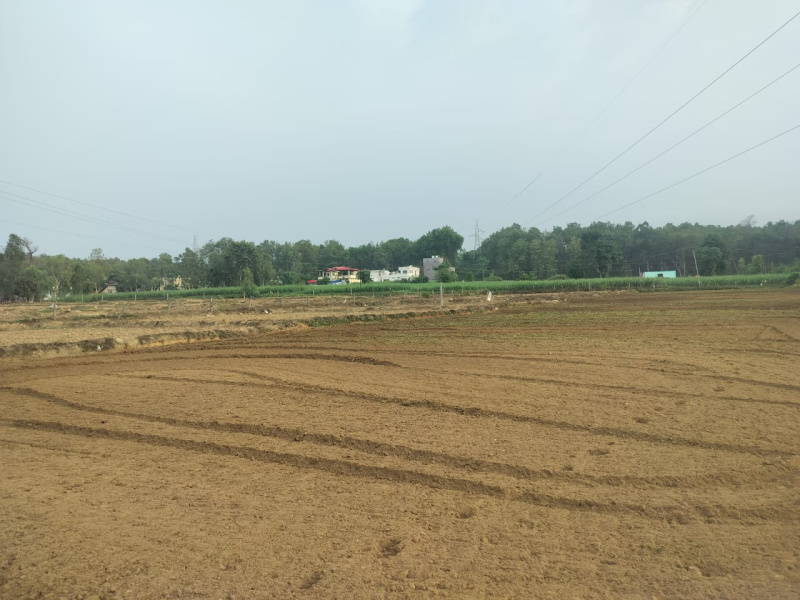  Residential Plot 300 Sq. Yards for Sale in Dharmawala, Vikas Nagar, Dehradun