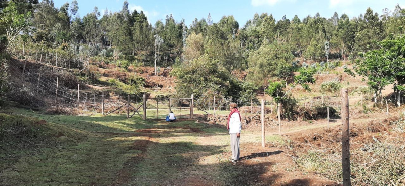  Agricultural Land 5 Acre for Sale in Poondi, Kodaikanal