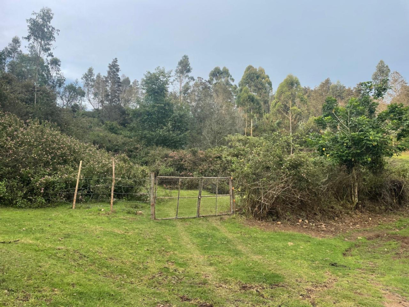  Agricultural Land 5 Acre for Sale in Poondi, Kodaikanal