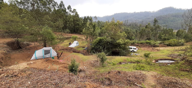  Agricultural Land 5 Acre for Sale in Poondi, Kodaikanal