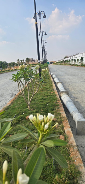 3 BHK 1550 Sq.ft. Villa for Sale in Rayakottai Road, Hosur