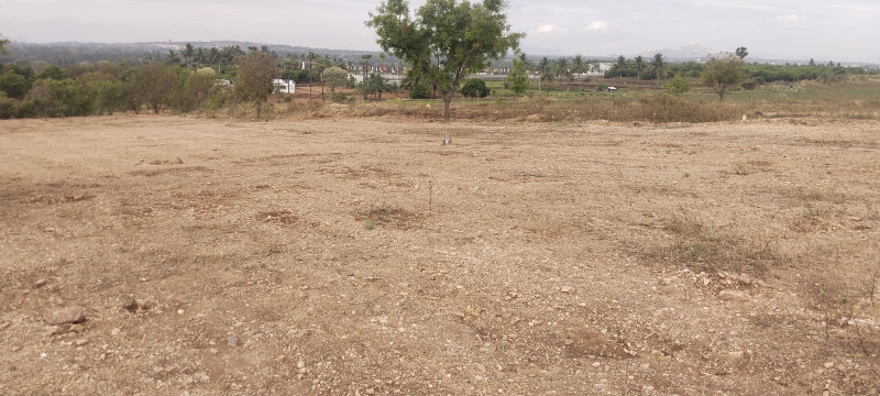  Residential Plot 1200 Sq.ft. for Sale in Magudanchavadi, Salem