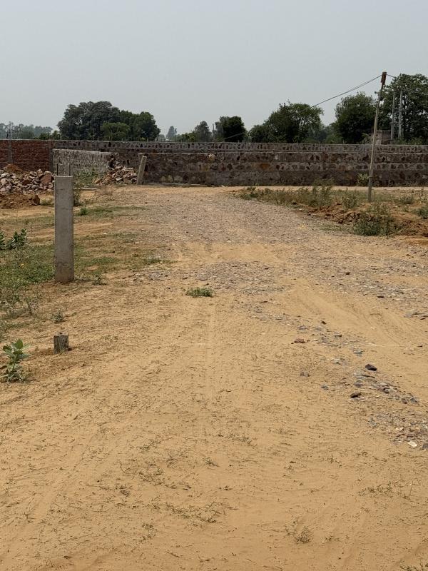 1 BHK Farm House 3630 Sq. Yards for Sale in Sohna, Gurgaon
